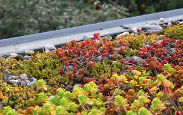 the cost of Duncansclett green roof installation
